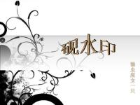 ������ˮӡ��ר��