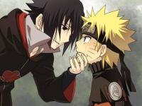 ���뺫���ڵ�ר��