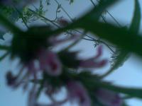 ������һ��������ר��