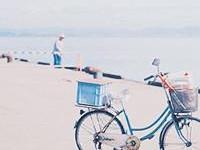 ����������ר��