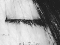 ����߷���ר��