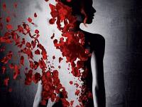 进入流年落尽的专栏