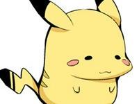 �����ľľ��ר��