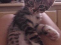 ���뿧�ȶ���ר��