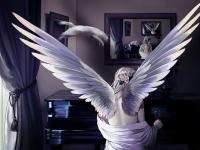 进入喵小多的专栏