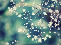 �������ϴ��ٵ�ר��