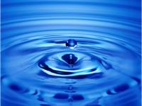 ����Ҧ�õ�ר��