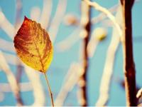 ����Ե�ڽ��յ�ר��