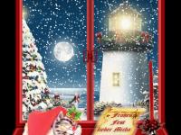 ����߸�Ь��С�Ҹ���ר��