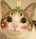 ������ϵ�ר��
