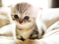 ����ں�by�����ר��