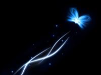 ����ī�����ר��