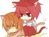 ��������˵�ר��