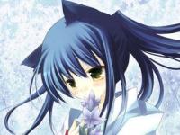 �����ĸ��ε�ר��