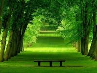 ����火狸��ר��