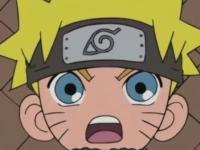 �������������Ѫ���ö�õ�ר��