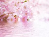 ���볤���㾪����ҹ�λص�ר��