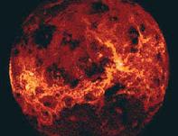 ����Ľ�ȵ�ר��