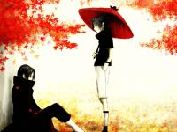 ���롺�n����������ר��