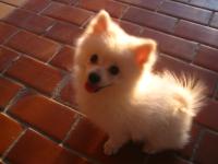 ���������ר��