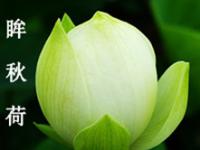 �M��Nϫ�Č���