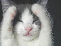 ������è����ר��