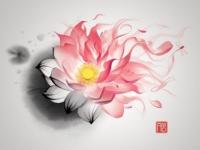 ����ľľľ�ӵ�ר��