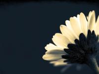 ����������ǵ�ר��