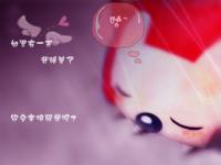 ������ڸе�ר��