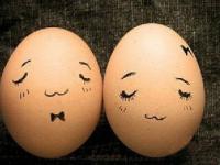 ���뻨������ר��