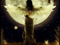 ���밮�ϵ�����ר��