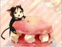 进入夏谐的专栏