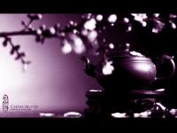 ����ѩ���سǵ�ר��