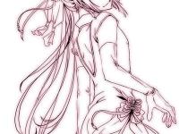 ������˿������ר��