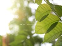 进入你好晴天的专栏