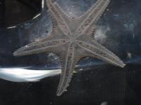 进入秋竹的专栏