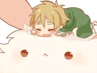 ����Ʈ�����ר��