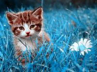 ��������ҩˮ��ר��