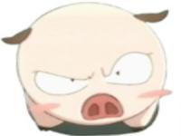 �����ƤPIG��ר��