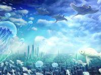 ����ǳ�е�ר��