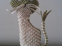 ���볾����ר��