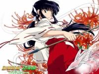 进入彼岸蔷薇的专栏