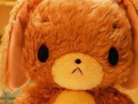 ����һ·���е�ר��