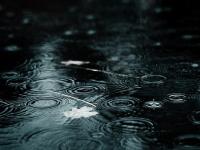 ���봿���ר��