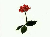 �������װ�˼���ר��