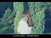 进入一抹綠的专栏