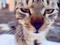 ����ǧ飵�ר��