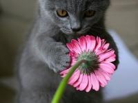 ����̰�Ե�����ר��