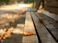 进入lu酱的专栏