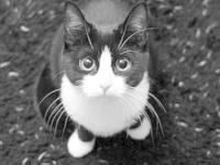 进入凝Diva的专栏